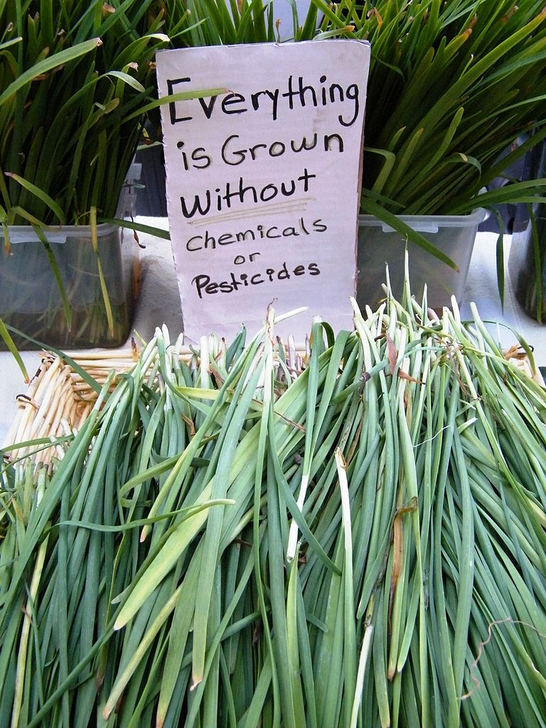 What Gardeners Could Learn From the Local Food Movement