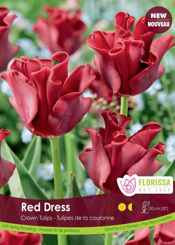 Crown Tulips 'Red Dress' (each bulb)