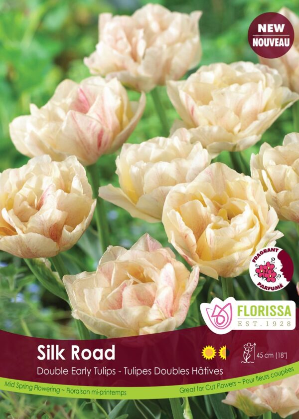 Double Early Tulips 'Silk Road' (each bulb)