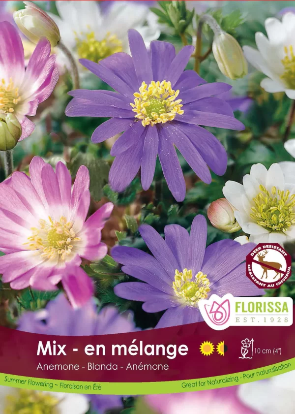 Anemone- Blanda- mix (each bulb)